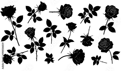 Rose silhouette vector collection with floral elements in natural scattered composition isolated on white