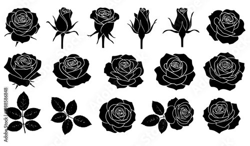 Rose flower silhouette vector set with blooming and bud floral elements in black isolated on white