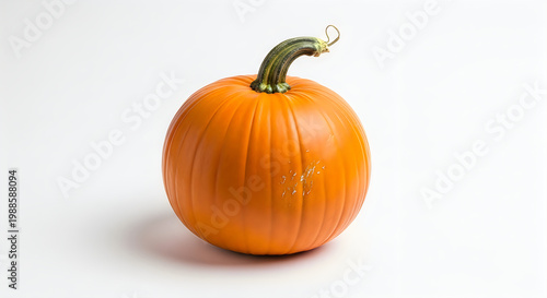 Fresh Pumpkin on White Background - Autumn Vegetable Vector, illustration