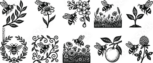 Set of Hand Drawn Bee and Nature Illustrations