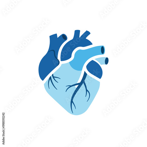This is a stylized anatomical illustration of a human heart, rendered in various shades of blue to represent the organ's intricate structure.