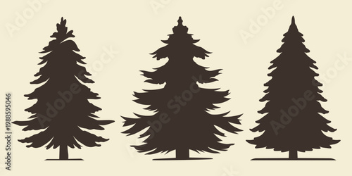 Trees in a camping area