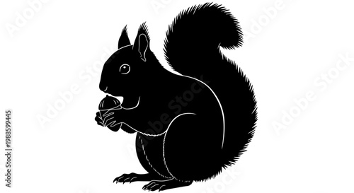 Squirrel Silhouette Eating a Nut, Wild Animal Foraging in Nature on Isolated White Background