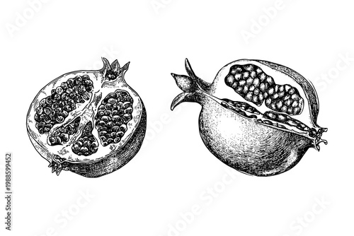 Vintage pomegranate fruit engraving with seeds and halves in woodcut sketch style