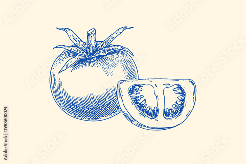 Hand drawn sketch of fresh tomato and slice, vintage illustration on light background
