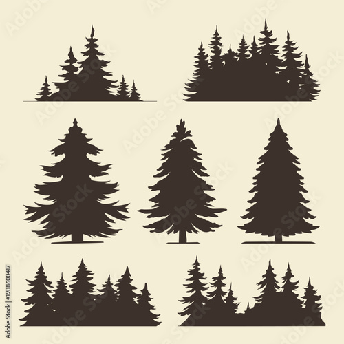 Trees at a camping site