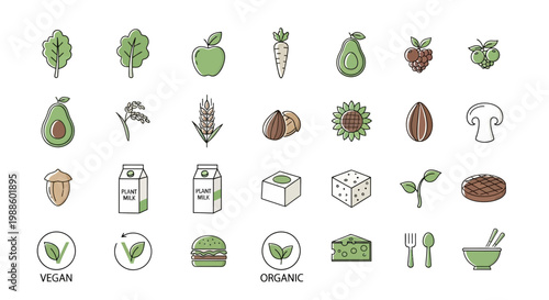 Set of Vegan and Organic Food Icons