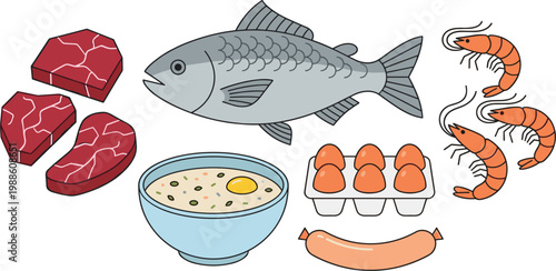 Assorted protein ingredients arranged vertically with a clean white background