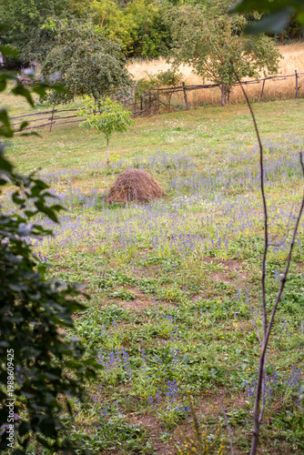 Pile of hay on a field view