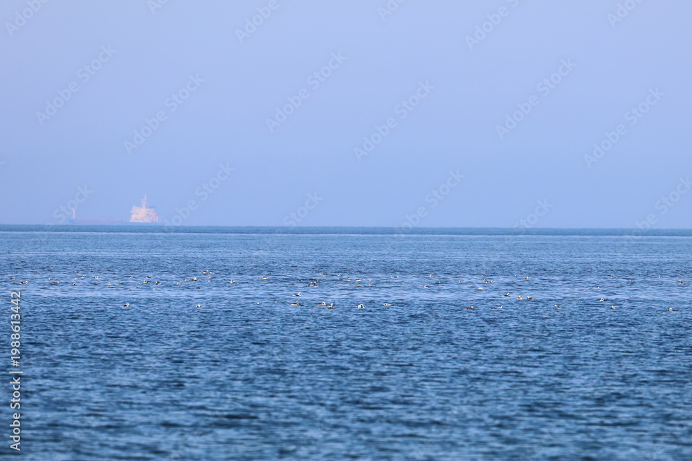 Fototapeta premium seascape