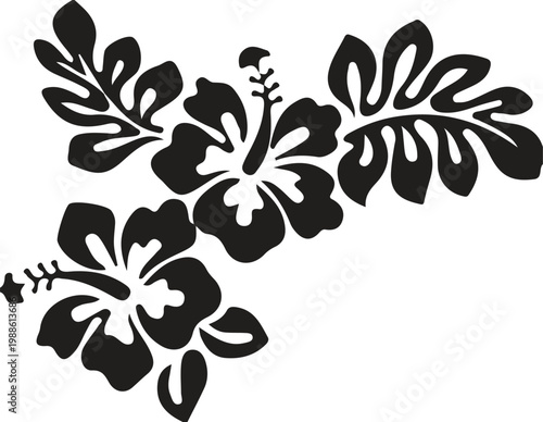 Black silhouette of hibiscus flowers and leaves with hibiscus, tropical