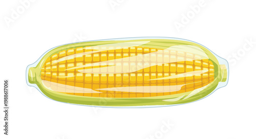 Vector illustration of a fresh yellow corn cob vacuum sealed in plastic wrap packaging isolated on a white background