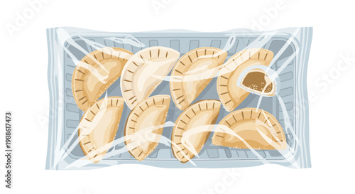 Illustration of Frozen Dumplings or Empanadas in a Plastic Tray Package with Meat Filling Details Isolated on White