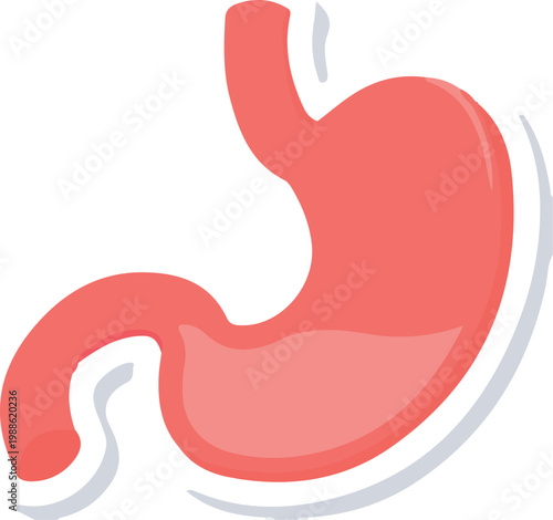 Stylized illustration of a human stomach with food processing, internal org
