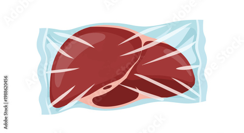 Vector illustration of raw beef liver packaged in a transparent vacuum-sealed plastic bag, fresh organ meat isolated on a white background for culinary and butcher shop concepts.