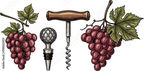 Vintage illustration of red grapes, a corkscrew, and a bottle stopper