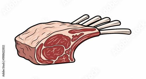 Raw rack of lamb with visible marbling and bone structure, depicted in a simple drawing style