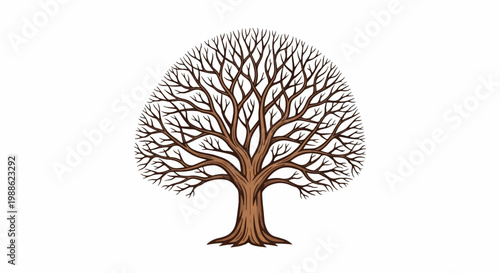 Stylized bare tree with spreading branches and detailed trunk