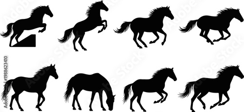 Eight black horse silhouettes in various poses on a white background