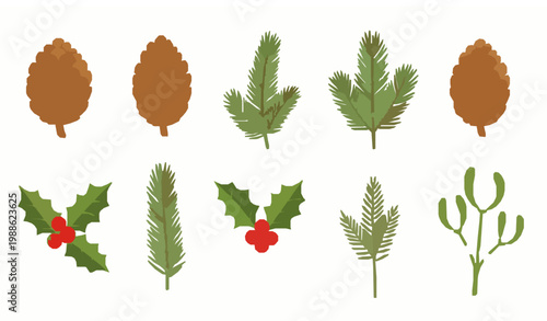 Christmas evergreen vector set with pine cone spruce fir holly and mistletoe in cartoon flat style