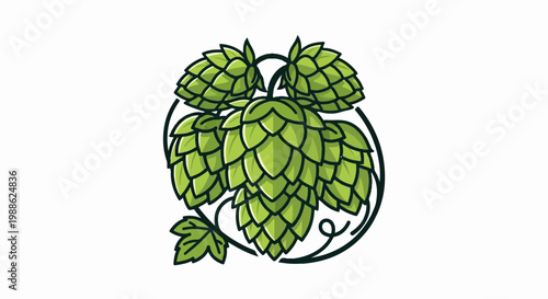 Stylized green hops plant with swirling decorative elements