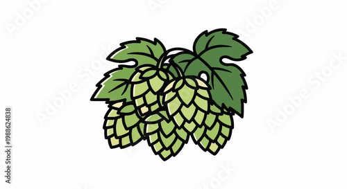 A cluster of green hops with textured leaves against a white background