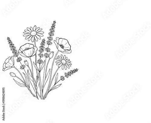 Delicate line drawing of a floral bouquet featuring poppies, daisies, and lavender sprigs