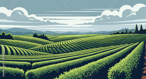 Rolling green hills covered in neat rows of crops under a cloudy sky