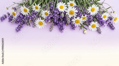 A bouquet of white daisies and purple lavender flowers arranged on a soft purple background with empty space for text