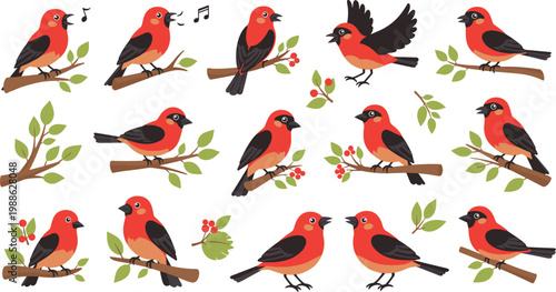 Red bird character set with tanager bullfinch cardinal flying and singing on spring tree branches flat vector illustration.
