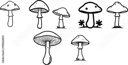 Vector Icon of a Mushroom with Cap and Stalk, Outline Style, Minimal, White Background