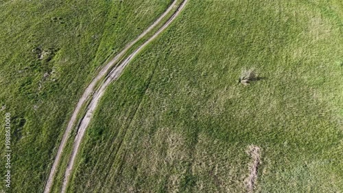 Drone aerial shot of narrow dirt track winding through lush green grass meadow. Top down view of countryside landscape with rural road and spring vegetation under sunlight. Minimalist Rural Journey.