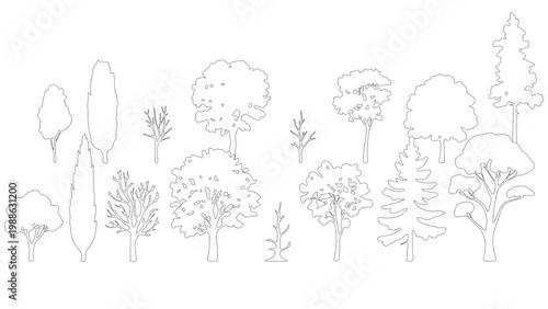Forest tree side view elevation sketches for architectural sections and environment mapping.