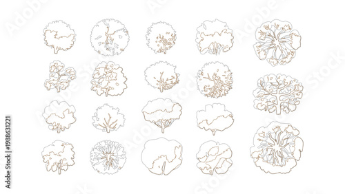 Brown line tree crown plan view set for autumn landscape design and site mapping projects.