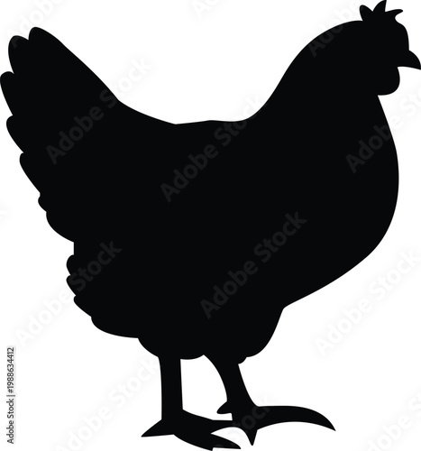 A silhouetted hen stands in profile displaying its feathered form