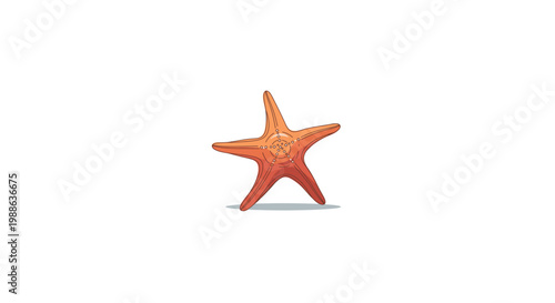 Single orange starfish isolated on white background with shadow.