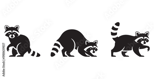 Raccoon Silhouette Set - Wild Animal Procyon Lotor in Various Poses Vector Illustration