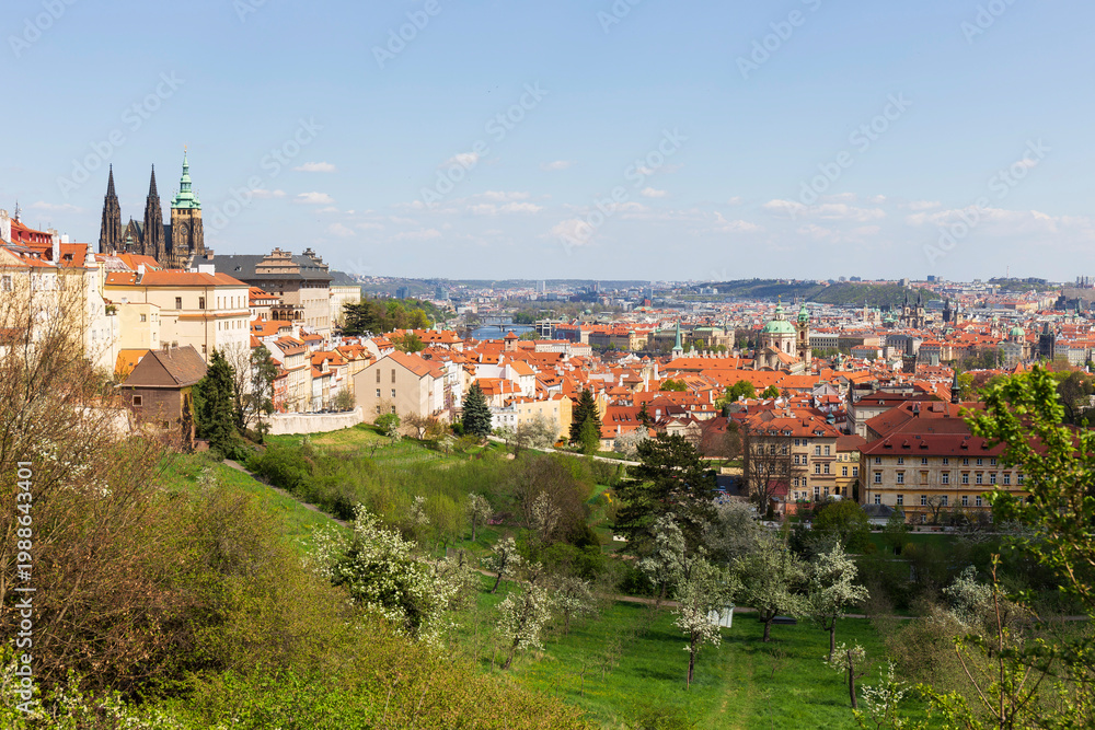 Obraz premium Spring Prague City with gothic Castle and the green Nature and flowering Trees, Czech Republic 