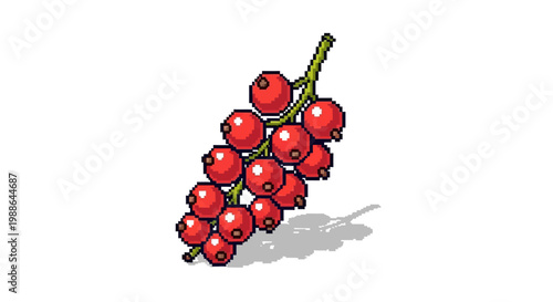 Illustration of a Fresh Bunch of Red Currants.