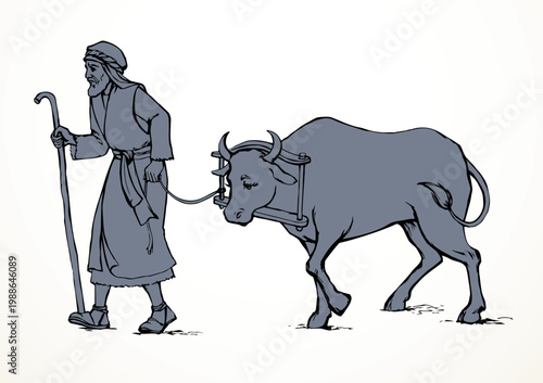 Vector drawing. A man leads an ox