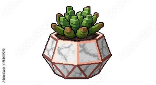 Geometric Terrarium Pot with Succulent Plant.