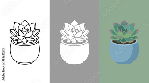 Succulent Plant in Blue Pot on Green Background