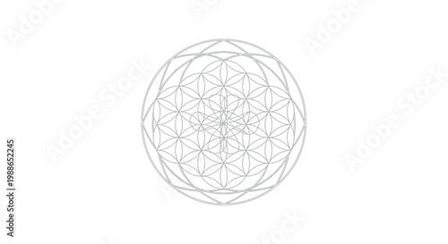 Intricate geometric flower of life symbol featuring complex intersecting circles and precise thin black lines isolated on a clean white background for spiritual design projects