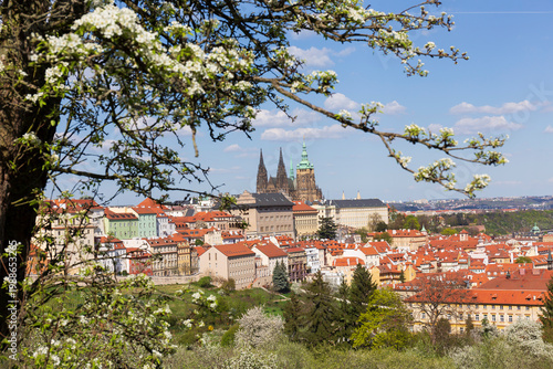Spring Prague City with gothic Castle and the green Nature and flowering Trees, Czech Republic 