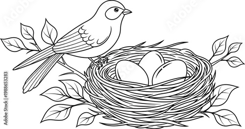 Cute little bird sitting carefully next to its cozy woven nest which contains three smooth white eggs waiting to hatch in a beautiful spring season