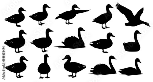 Waterfowl bird silhouettes vector set with ducks geese and swans in realistic poses isolated on white background