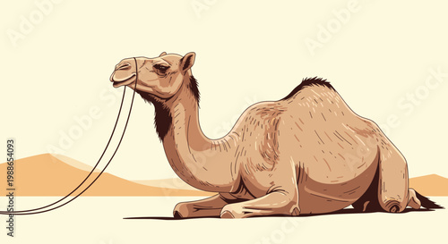 Large dromedary camel rests calmly on the hot desert sand with a vast sandy landscape extending into the background.