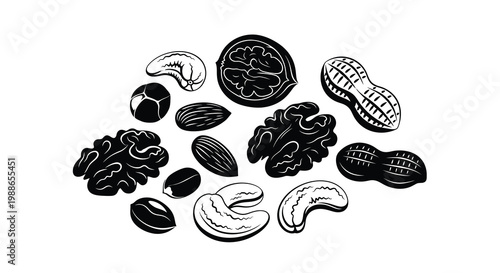 A collection of various nuts depicted in a black and white illustrative style high quality professional