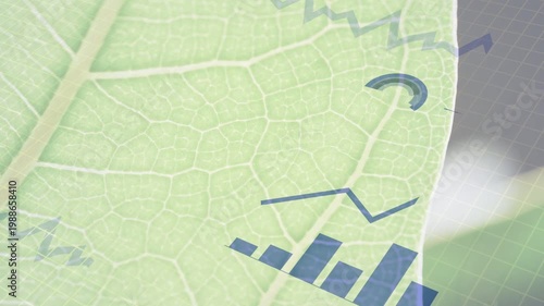 Pale green leaf showing blue fragments appearing at right edge forming charts sliding left for data