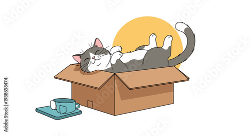 Cute grey and white tabby cat sleeping peacefully inside open cardboard box under warm sun representing pet comfort and cozy home.